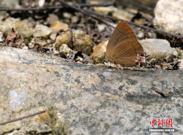 TK体育：赛事资讯、数据分析与用户指南 - tk体育3
